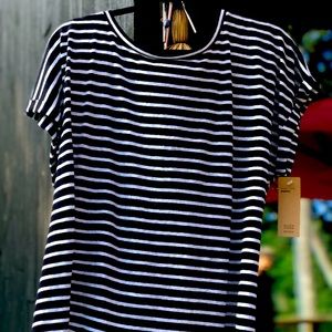 SOLD.  SUPA CUTE BRAND NEW WITH TAGS EILEEN FISHER TOP